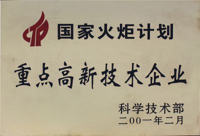 Torch Plan Key High-tech Enterprise 1 